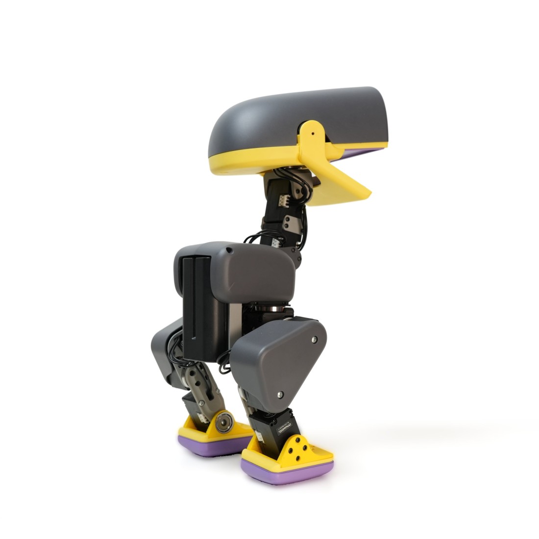 Microduck Microduck